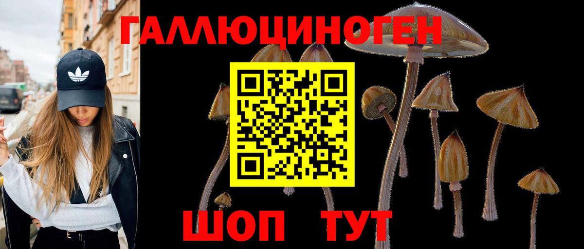 Псилоцибиновые грибы ЛСД Кудымкар